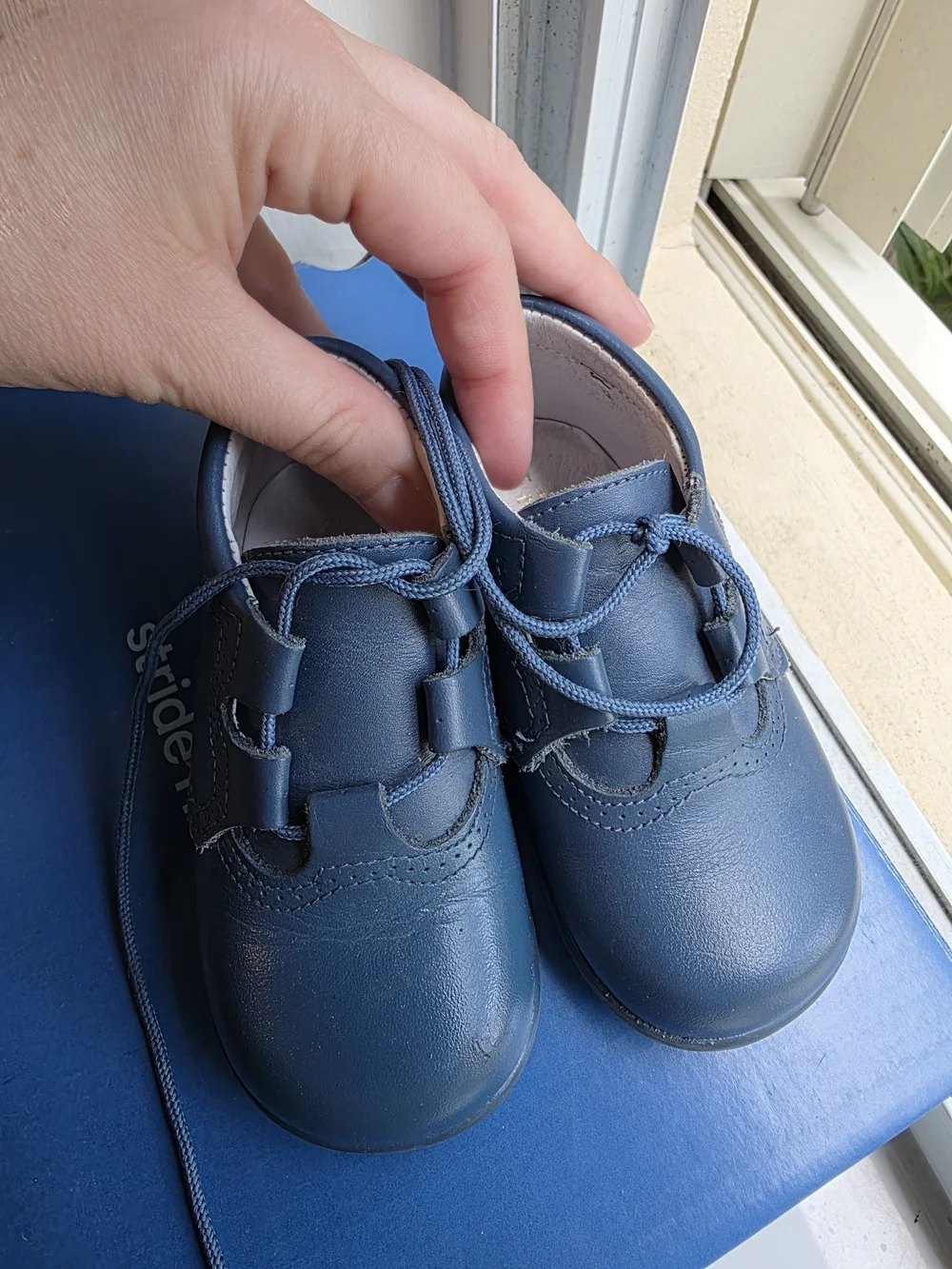Spanish Kids Navy Blue Leather Lace-Up Shoes